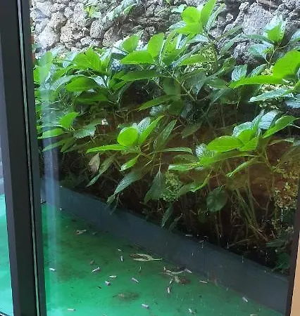 Appartement Arrenquinha 2 *